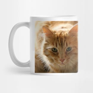 The Very Handsome Mr Kit Mug